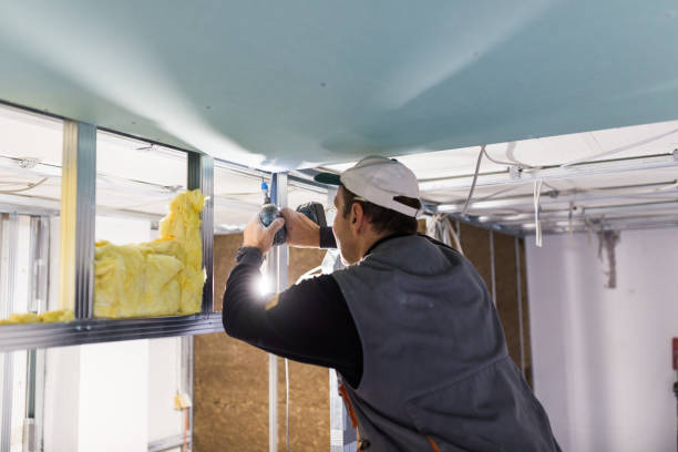 Best Attic Insulation Installation  in Ashland, OH